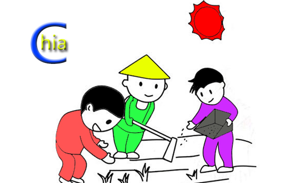 chia幣挖礦服務器有哪些常見問題以及解答
