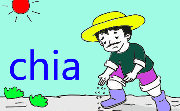 Chia幣挖掘服務(wù)器配置