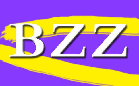 參與BZZ需盡早其后期價格將不低于一千U