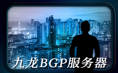 BGP高防御的原理和九龍BGP機(jī)房的優(yōu)點(diǎn)
