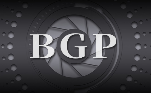 什么是深圳高防BGP服務器以及租用時需考慮的因素|服務器防護
