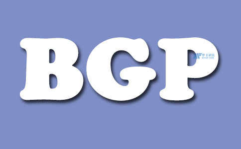 服務器BGP與單線的區別及應用場景解析