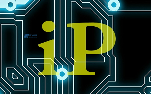 了解唯一IP和共享IP之間的區別